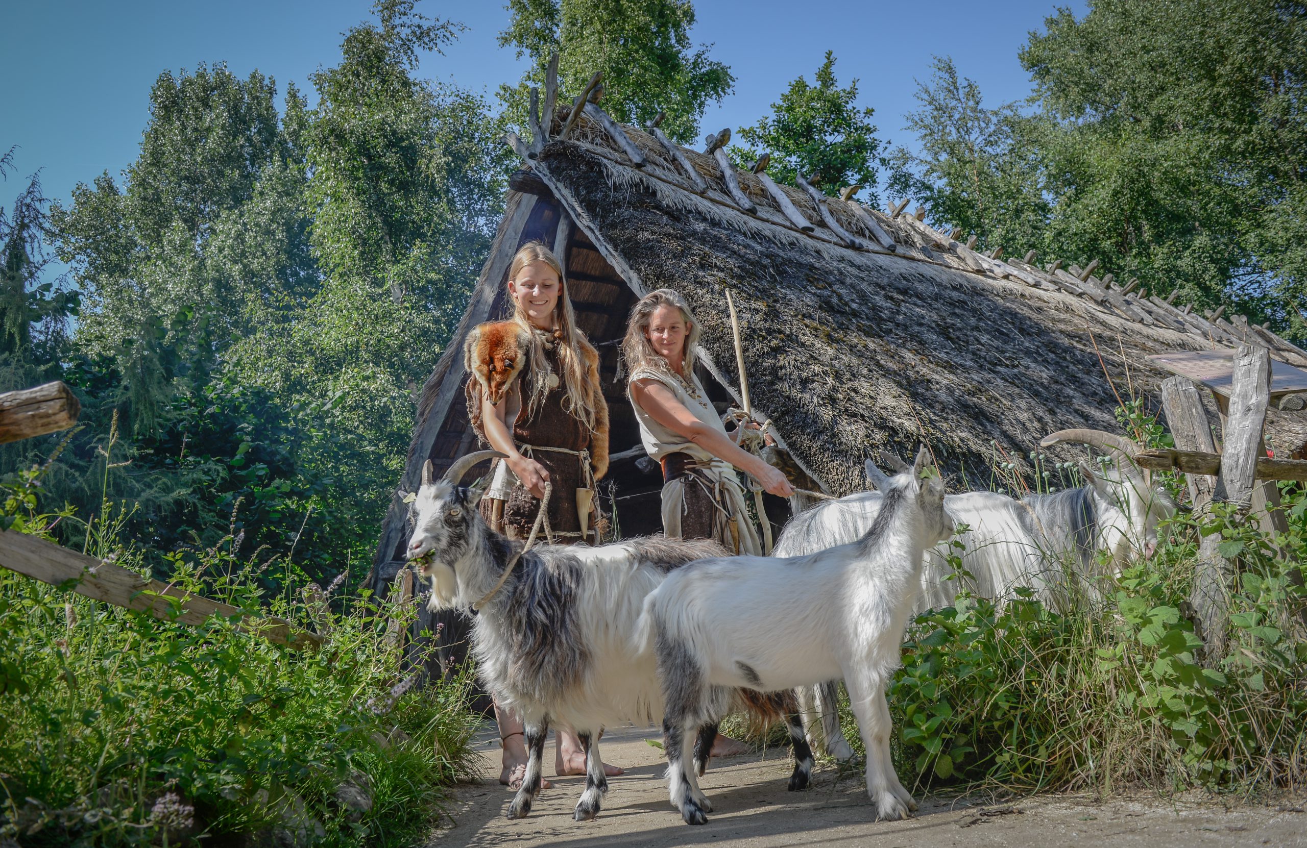Prehistorie TRECH BOEK DEF 17 Van 22 Scaled
